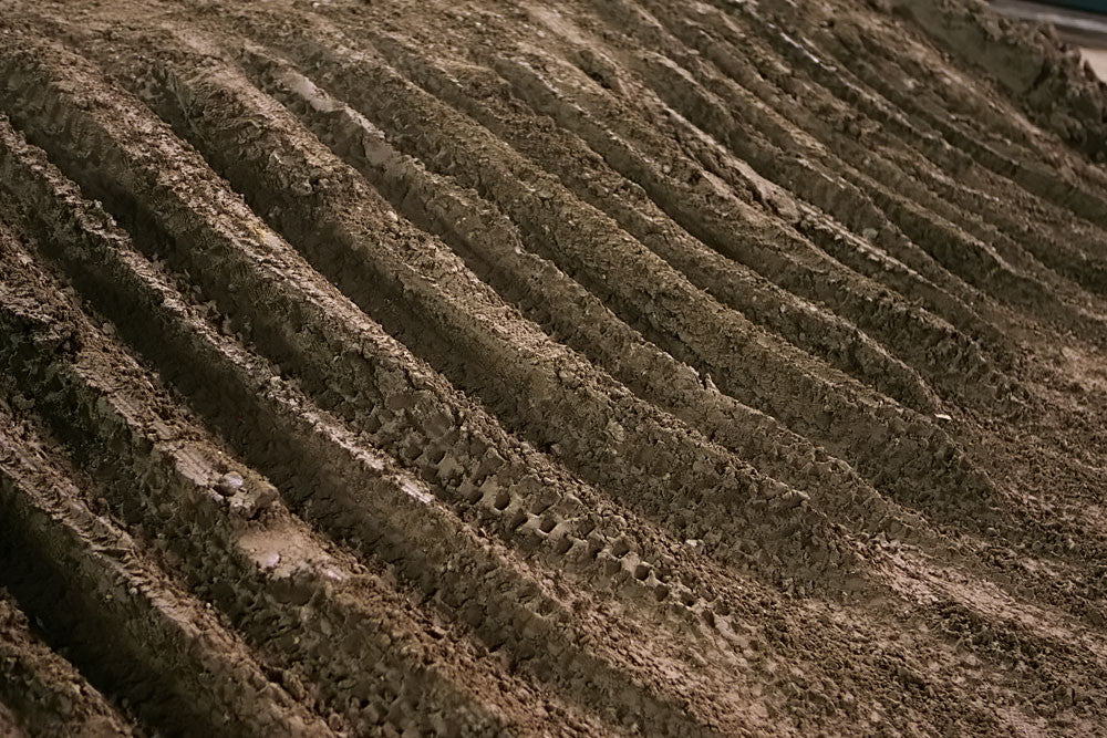 えねごりさま専8/5購入キャン割Nembhard AUGmaeJersey XL 大きいサイズと大きい服のメンズ通販【ビッグエムワン】大きい